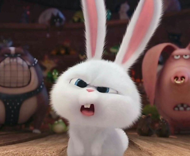 Create meme: The secret life of pets Rabbit is evil, the secret life of Pets rabbit, the secret life of pets hare snowball