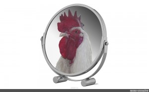 Create meme: mirror table, the head of the cock, cock in the mirror