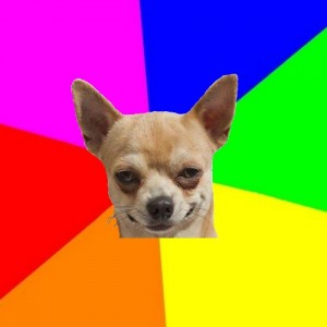 Create meme: new meme with a dog, Chihuahua offended, cute chihuahua inscription