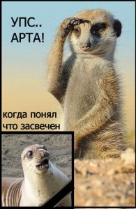 Create meme: interesting animals, meerkat, meerkat with an outstretched foot