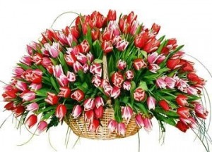 Create meme: pictures from March 8 tulips in a basket, 51 Tulip in the basket, a bouquet of tulips