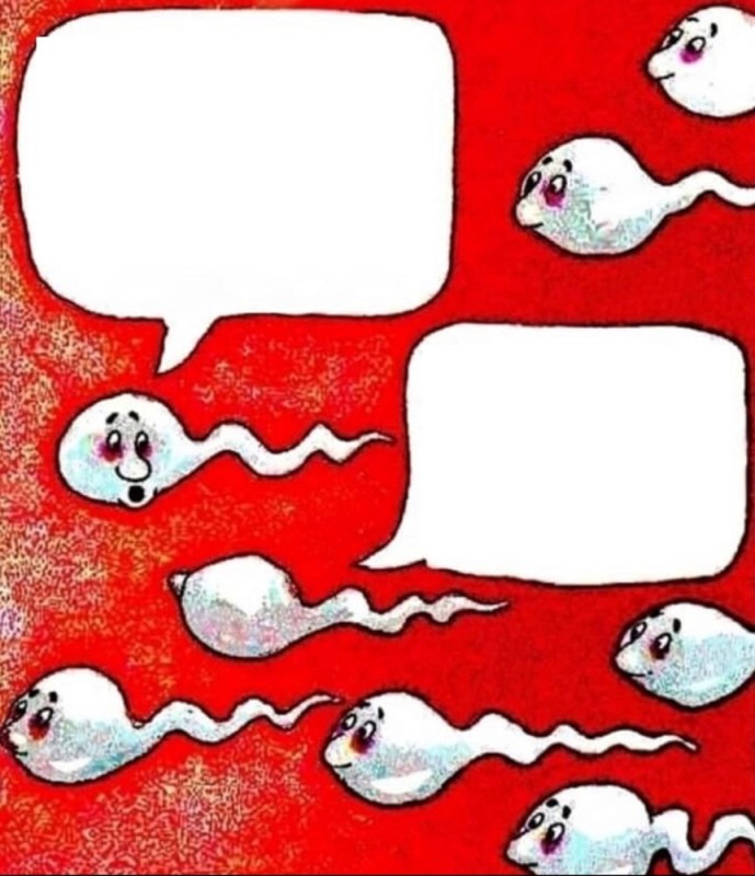 Create meme: The sperm cell, I'm just asking, human sperm, sperm 