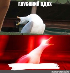 Создать мем: орущая чайка мем шаблон, кричащая чайка мем, мем гусь глубокий вдох