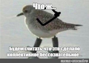 Картинка штош птица