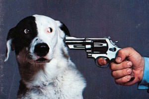 Create meme: a dog with a gun, a dog with a gun