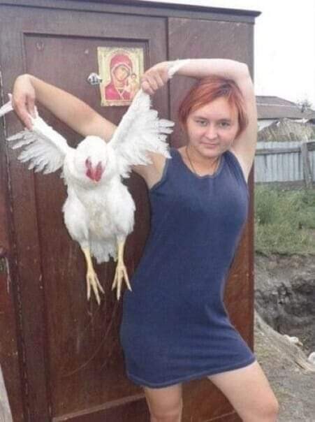 Create meme: glamorous chicken, chicken girl, a girl cuts a goose