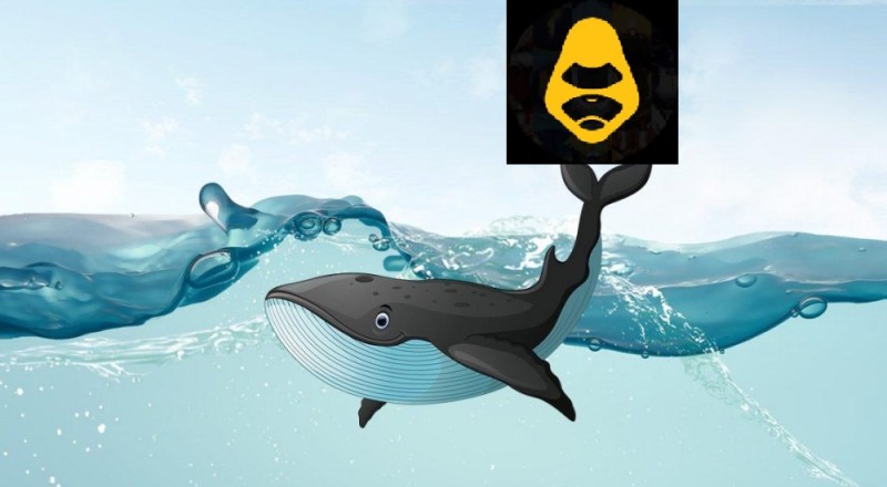 Create meme: trading , bitcoin whale, whale