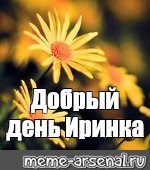 Хорошего дня иришка картинки