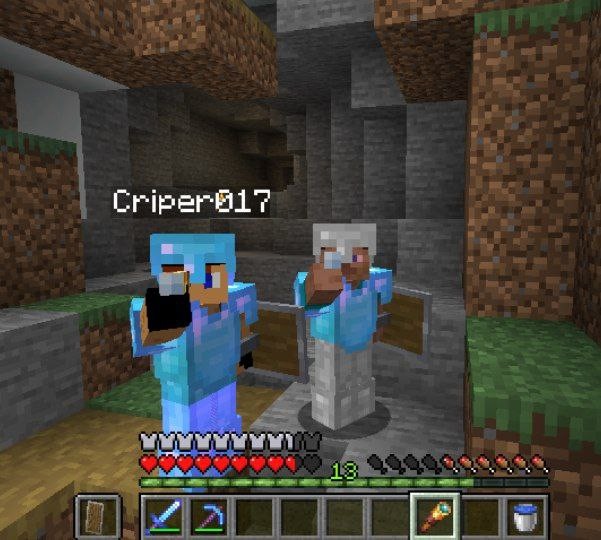 Create meme: dream minecraft, minecraft , minecraft PE