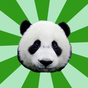 Create meme: panda hd, sad, sloth