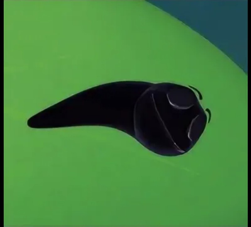 Create meme: manta ray, manta plus black, manta ray