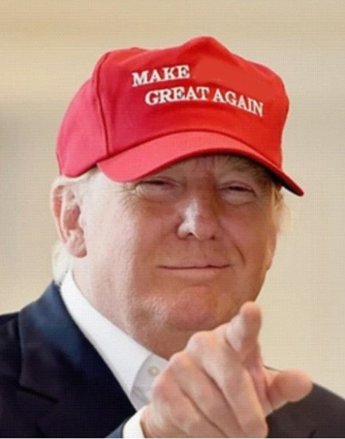 Create meme: Donald trump , trump's cap, trump wearing a make america great again cap