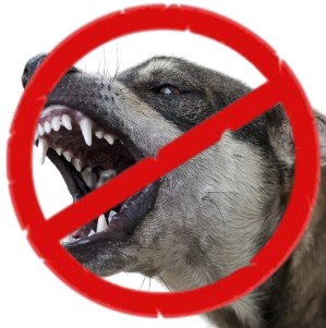 Create meme: dog rabies, aggressive dog, dog 