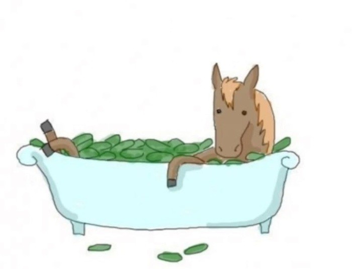 Create meme: horse in a tub with cucumbers meme, horse in a tub with cucumbers, horse in a tub with cucumbers