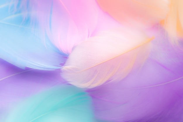 Create meme: pastel colors, soft background, soft pink background with a feather