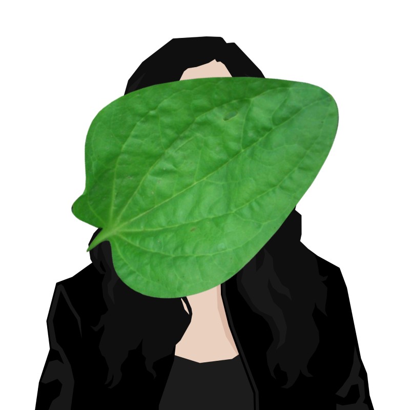 Create meme: large leaves, plantain leaf, linden leaves