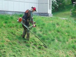 Create meme: trimmer, mowing the lawn, manicured lawn