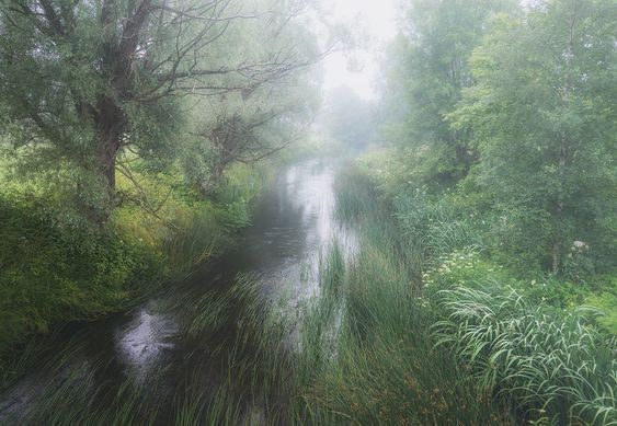 Create meme: The haze River, usmanka river, Vladimir's peksha river