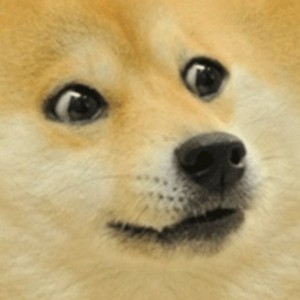 Create meme: meme dog, doge, dog meme