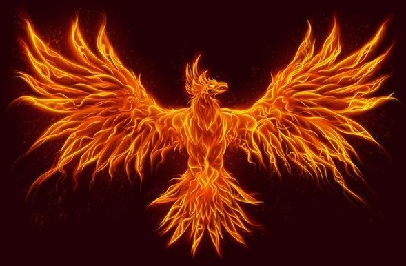 Create meme: Phoenix , simurg the phoenix bird, fiery Phoenix