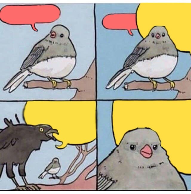 Создать мем: птицы поют мем, мем с птицей и вороной, мемы с птицами