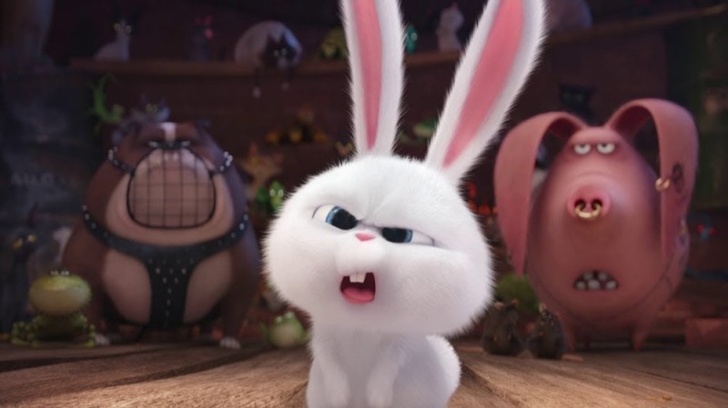 Create meme: evil rabbit, cartoon rabbit, The secret life of the pet rabbit snowball