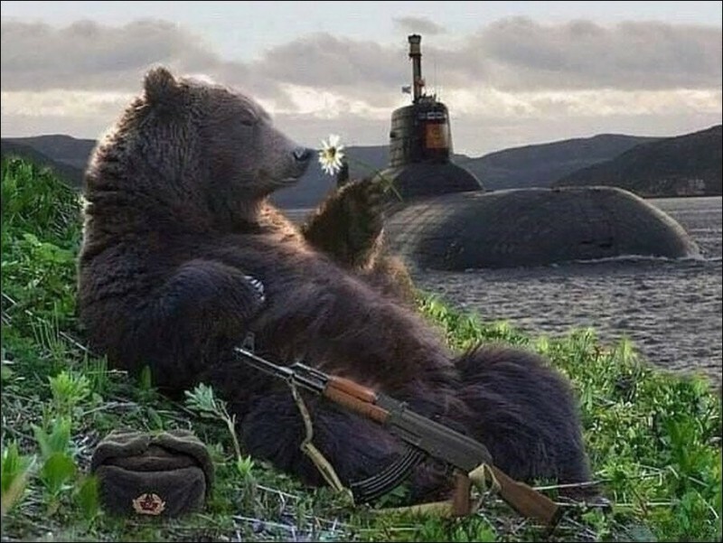 Create meme: bear bear, the bear is kind, the Russian bear