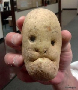 Создать мем: картошка объедение, смешная картошка, картошка картошка