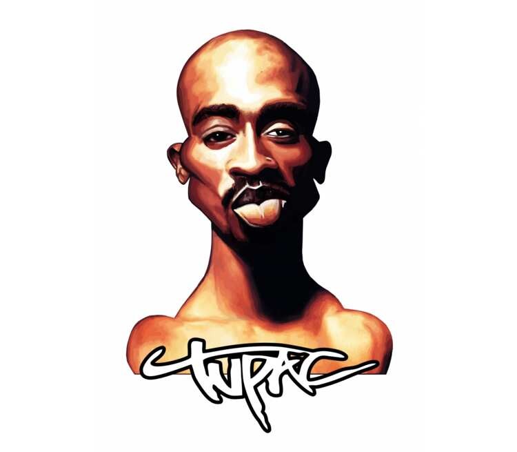 Create meme: rapper tupac, 2pac shakur, tupac art