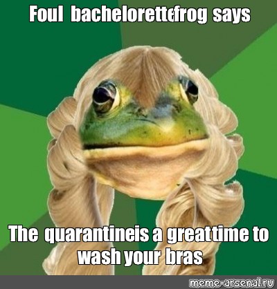 bachelorette frog meme