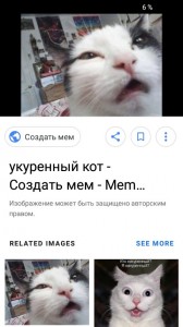 Создать кота