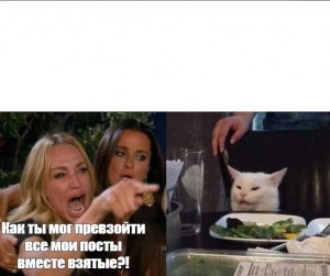 Create meme: funny memes, memes with cats, MEM woman and the cat