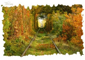 Create meme: autumn, tunnel of love in autumn, Klevan