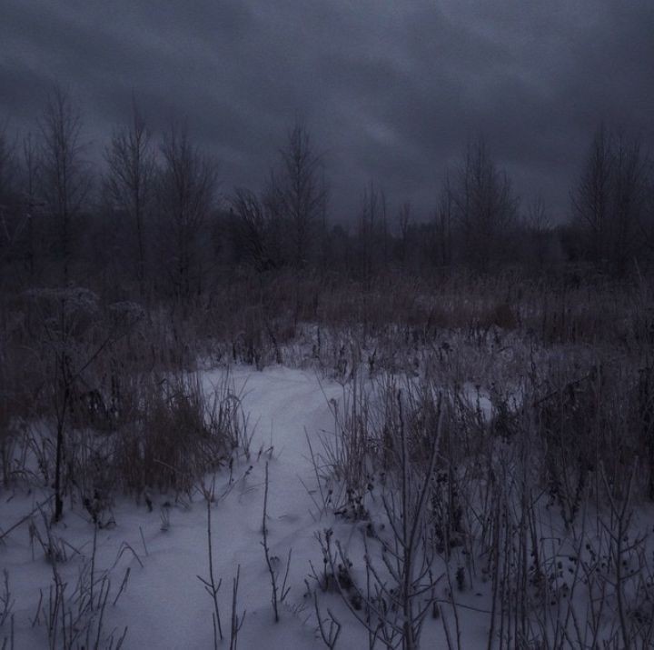 Create meme: winter forest landscape, the landscape is gloomy, the forest dark