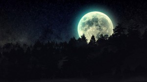 Создать мем: полная луна, ночная луна, лес с луной