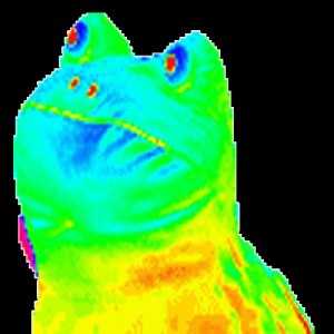 Create meme: mlg frog on a transparent background, freaky frog, MLG frog
