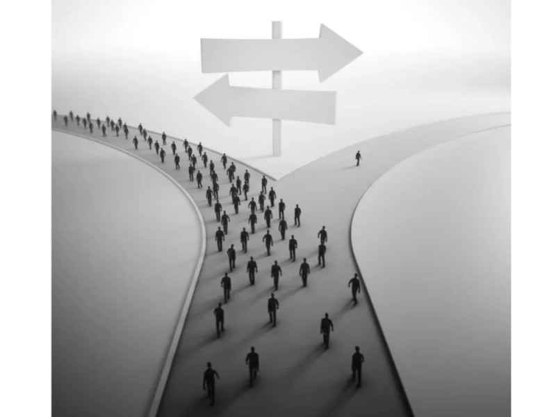 Create meme: the narrow path, freedom of choice, illustration