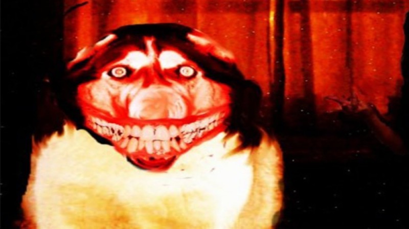 Create meme: smile dog if, smile dog scary, smile dog original