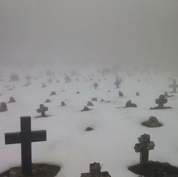 Create meme: cemeteries cemetery, cemetery memorial, cemetery in winter