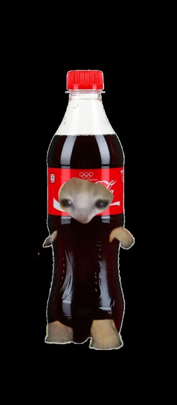 Create meme: coca cola cat, coca cola 1 l, drinks 