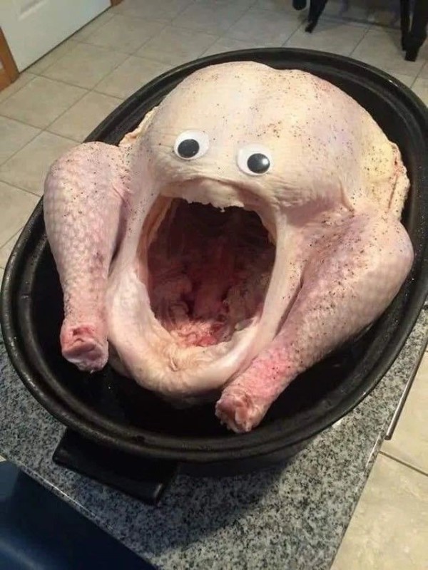 Create meme: humor jokes , funny chicken, scary chicken