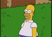 Create meme: homērs simpsons, Homer Simpson goes into the bushes, Bart Simpson in the Bushes