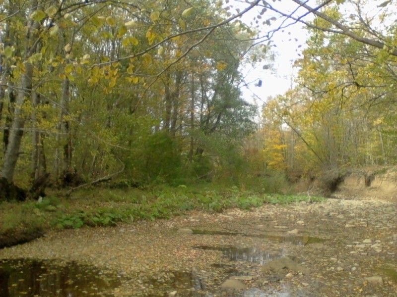 Create meme: landscape , nature , pond 