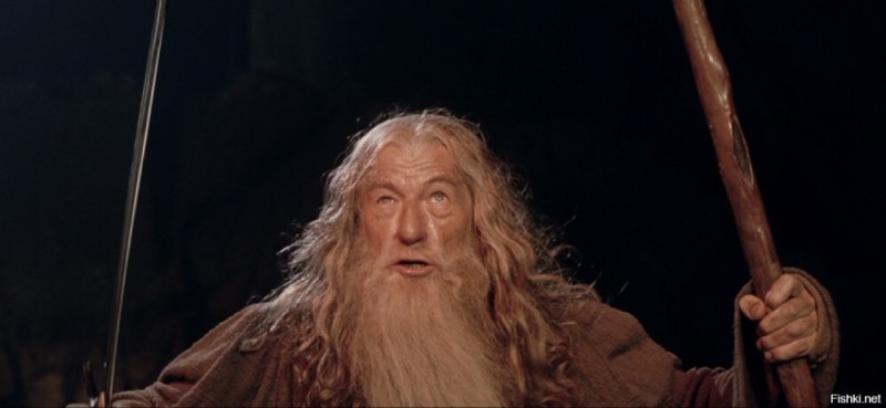 Create meme: you shall not pass Gandalf, meme Lord of the rings Gandalf, Gandalf meme