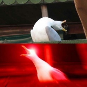 Create meme: a deep breath, screaming Seagull meme, deep breath meme