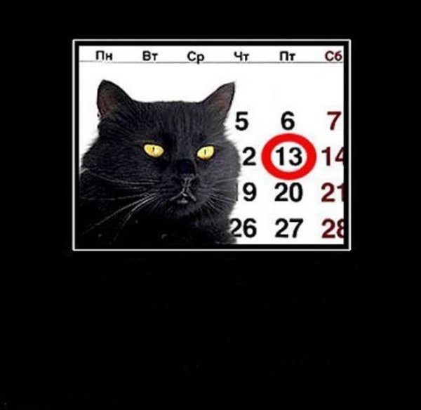 Create meme: friday 13 jokes, Friday the 13th cat, Friday 13th