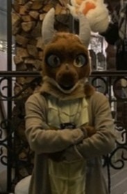 Create meme: furry fursuit, cosplay furry, fursuit suit