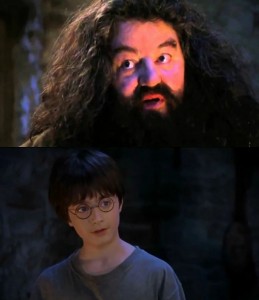 Создать мем: хагрид гарри ты, harry potter hagrid, гарри поттер гарри