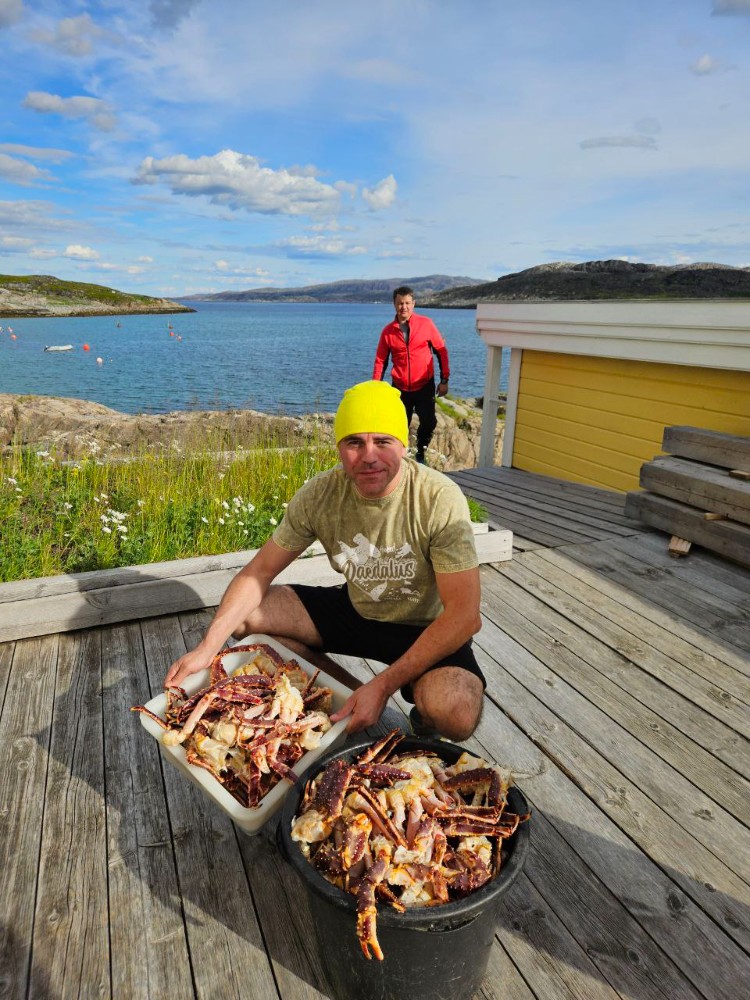 Create meme: crabs in the Barents Sea, Kamchatka crab in the Barents Sea, teriberka Kamchatka crab