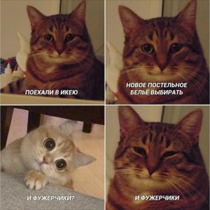Создать мем: и фужерчики мем с котом, мемы с котами, кот
